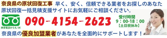 ޗǌ̌񕜍H