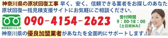 _ސ