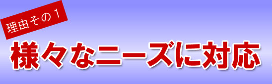 lXȃj[YނɑΉ